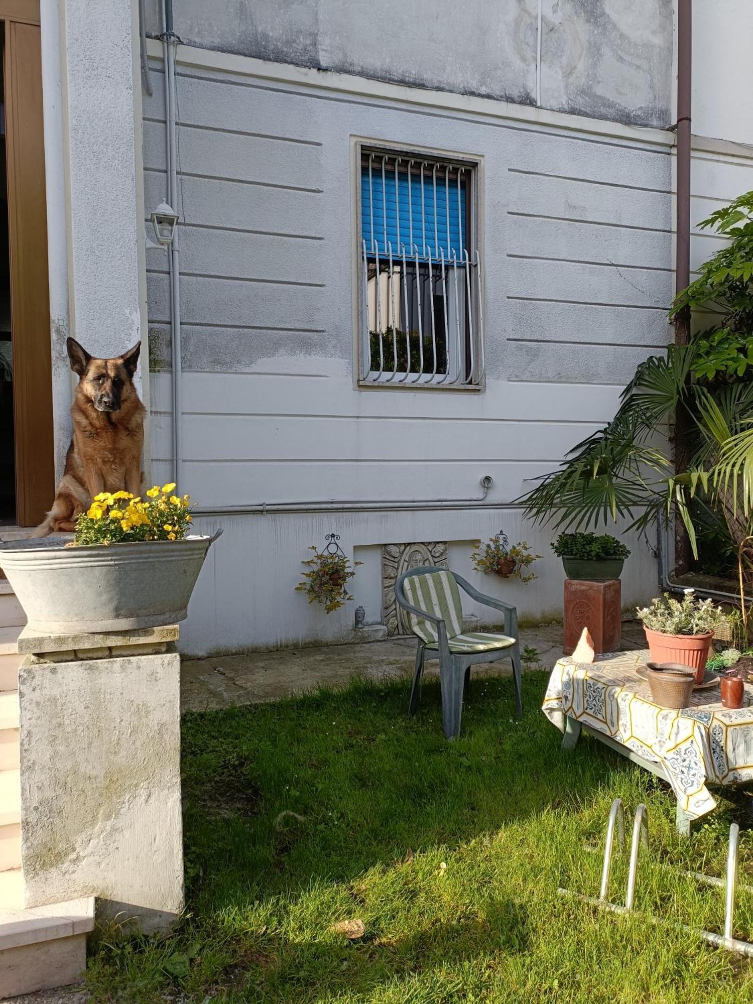 Chez Mavipagi B&B Verona Exterior photo
